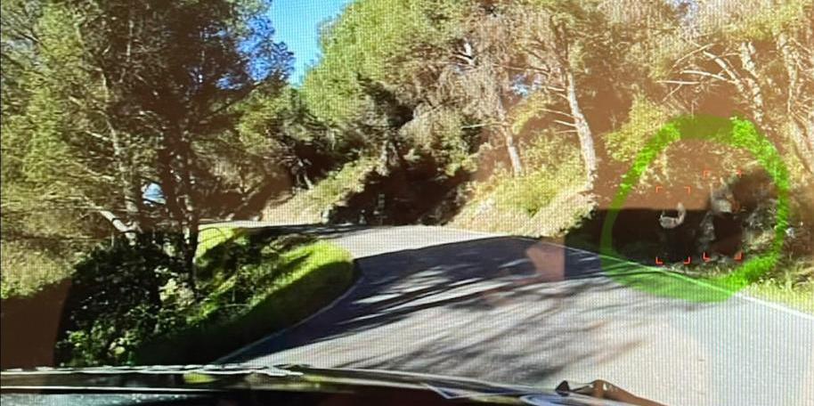 10:06 | TC9 Villaviciosa › [FOTO] MUY URGENTE, la gente que estáis detrás de los guardarraíles os tenés que quitar de ahí de manera URGENTE. Sitúate en sitios altos y elevados por favor. Colabora con nosotros, muchas gracias.