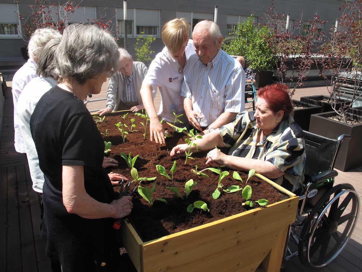 Huerto Terapéutico en la Residencia de Ancianos Huerto Terapéutico en la Residencia de Ancianos