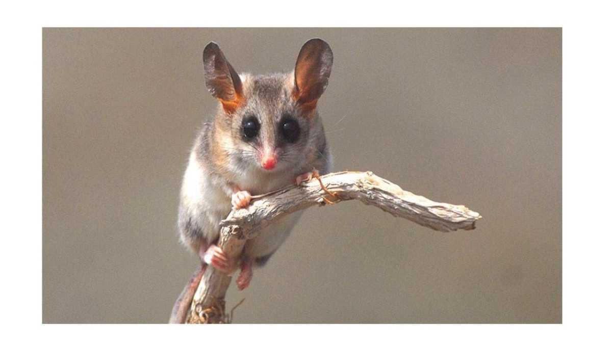 bienvenida 2025 bienvenida 2025