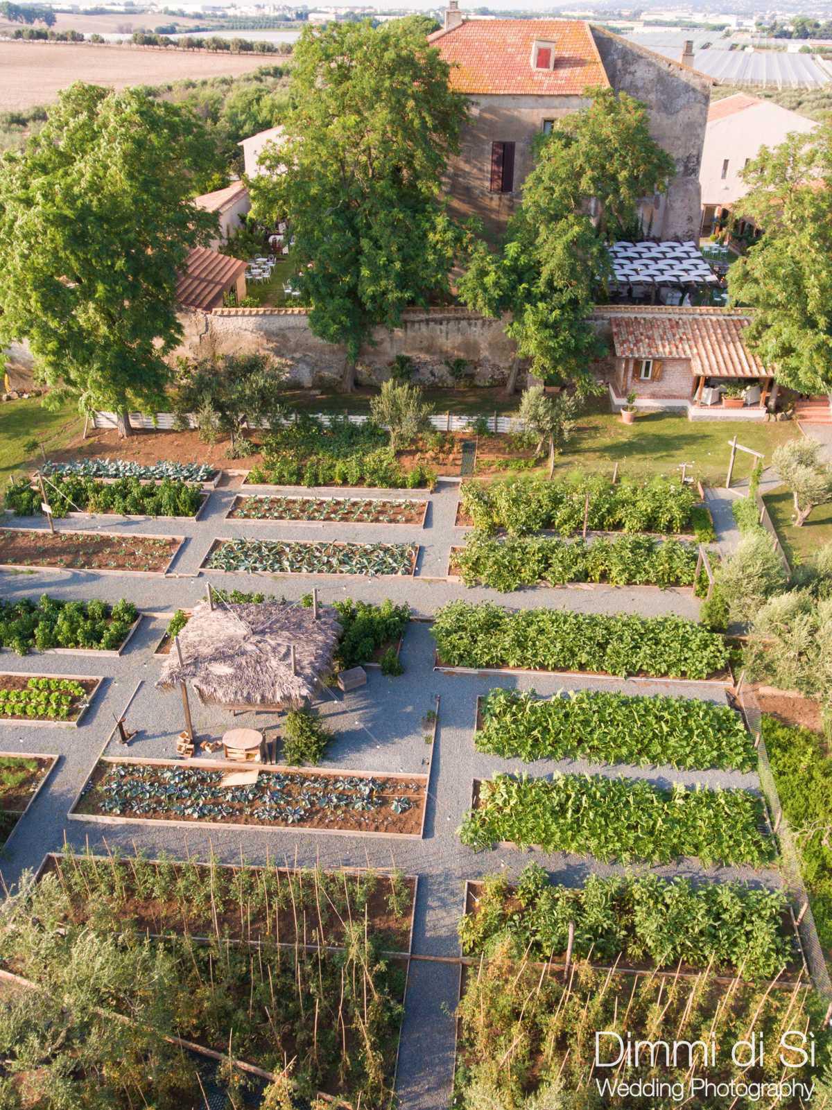 L’Anima del Cibo a Casale500: Dall’Orto alla Tavola L’Anima del Cibo a Casale500: Dall’Orto alla Tavola