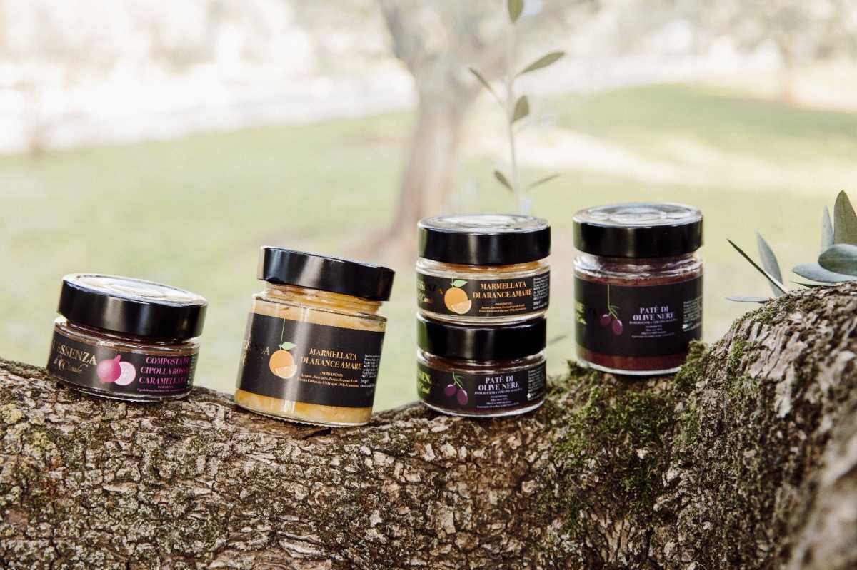 L’Anima del Cibo a Casale500: Dall’Orto alla Tavola L’Anima del Cibo a Casale500: Dall’Orto alla Tavola