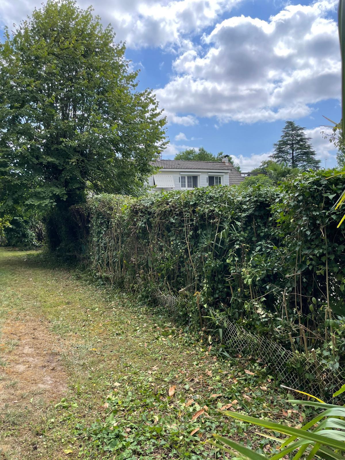 AD SERVICE : Votre Expert en Entretien de Jardin à Pau