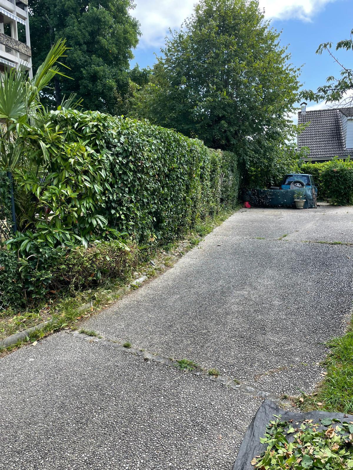 AD SERVICE : Votre Expert en Entretien de Jardin à Pau