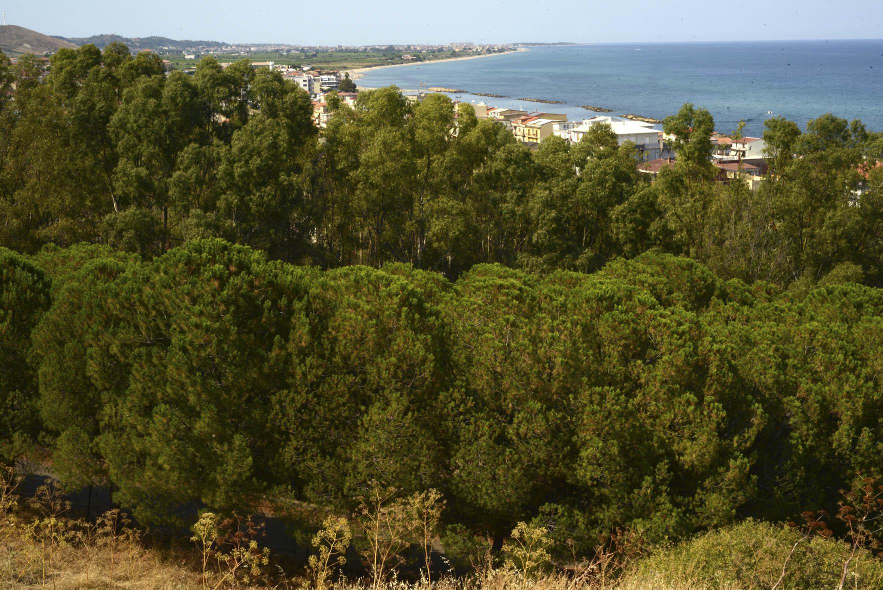 Panorama di Torre Melissa dalla torre aragonese