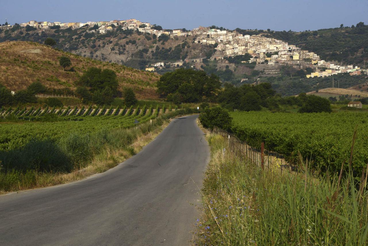 Scorcio di Melissa tra i vigneti lungo la strada da Cirò Marina