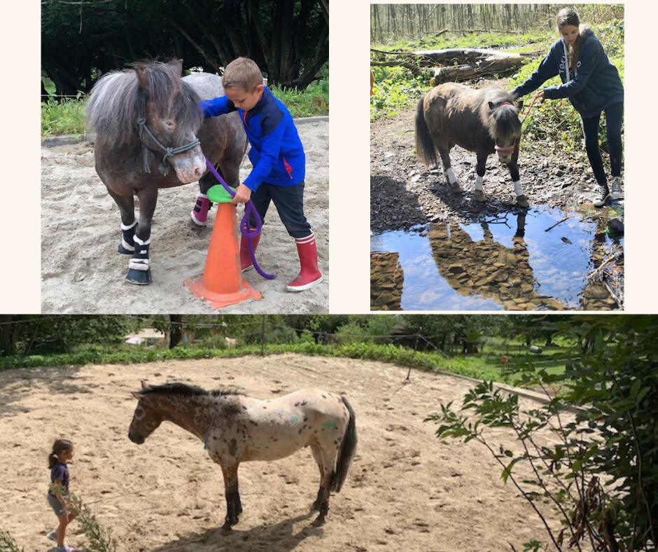 Nos Espaces : Là où confort, nature et bien-être se rencontrent . Nos Espaces : Là où confort, nature et bien-être se rencontrent .