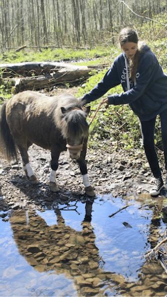 Gestion des émotions Gestion des émotions