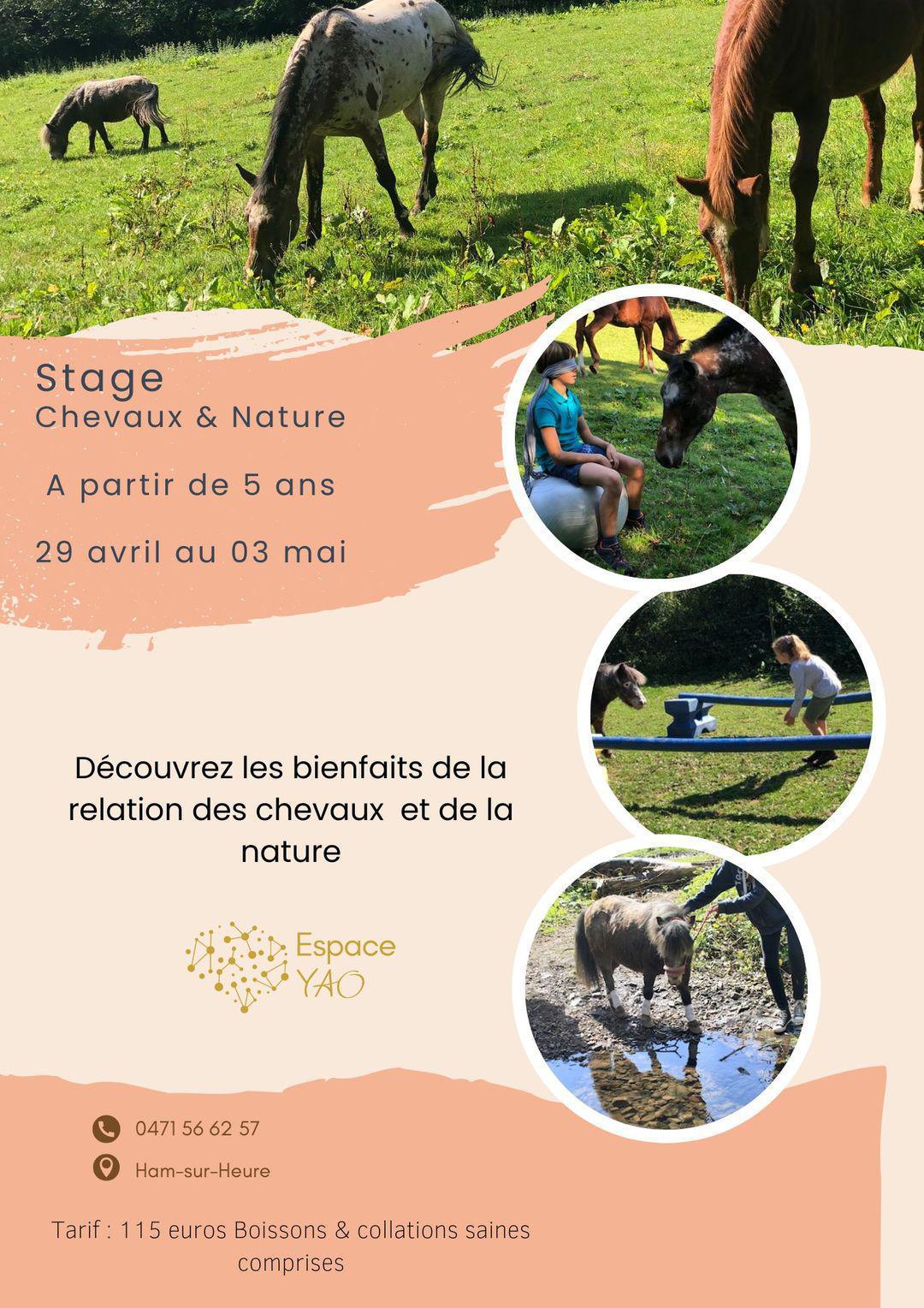 Stage pour enfants Chevaux et Nature