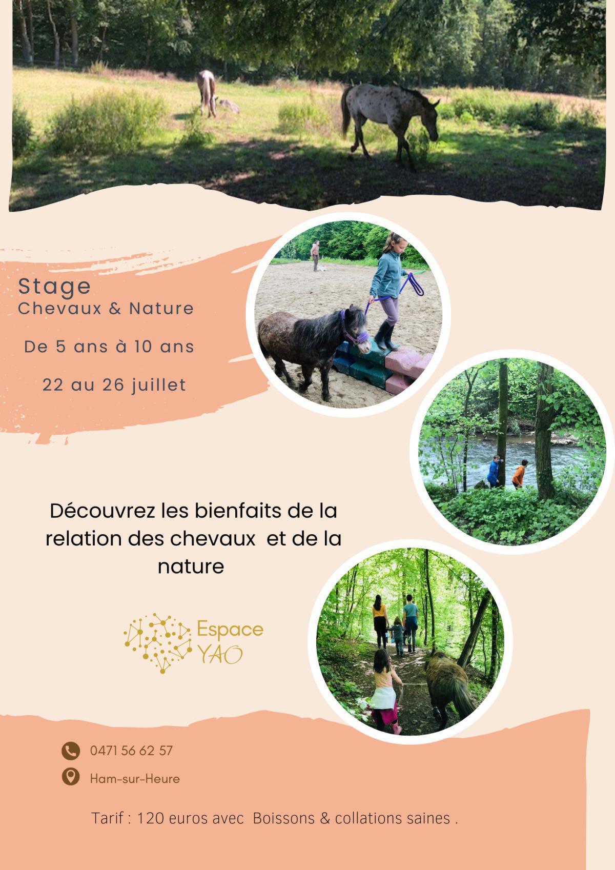 Stage d'été "Nature et chevaux" de juillet (COMPLET !)