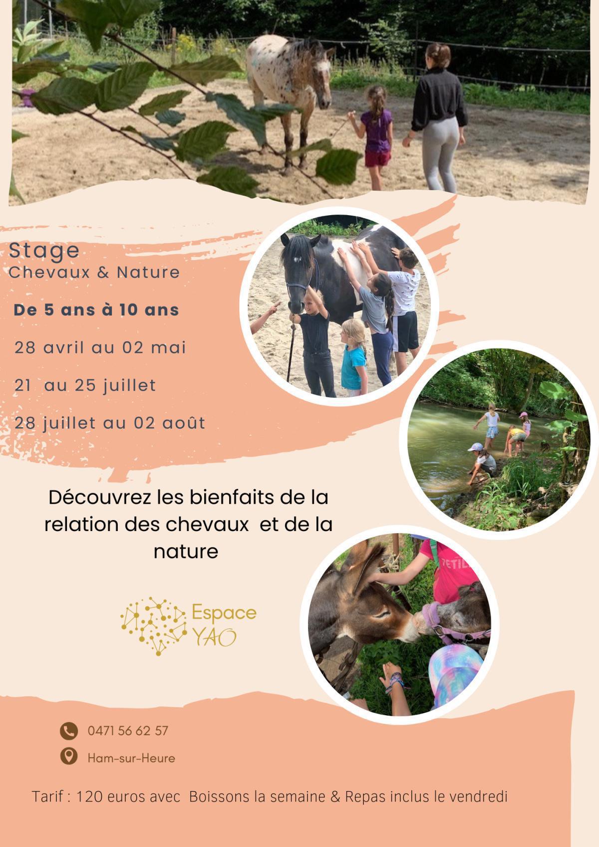 Stage été "Nature et chevaux" Juillet-Août 2025 !!! COMPLET !!! Stage été "Nature et chevaux" Juillet-Août 2025 !!! COMPLET !!!