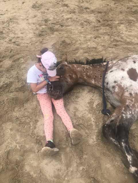 🐴 Ateliers Horses & Kids - Développement personnel et bien-être au contact des chevaux