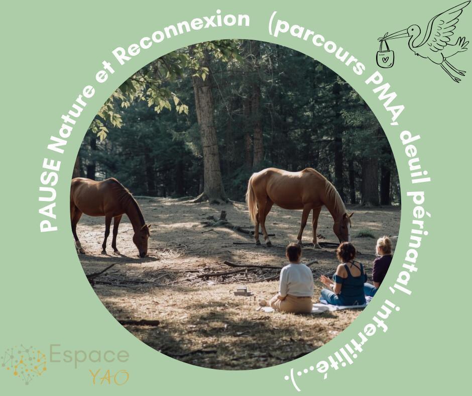 Nature & Reconnexion