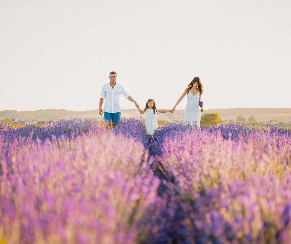 Initiation : Accompagner son enfant avec des fleurs de Bach.