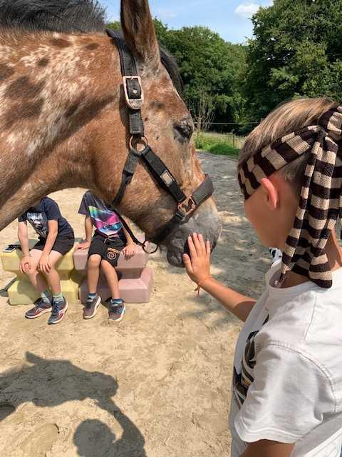 Horses & kids / Séance collective Horses & kids / Séance collective