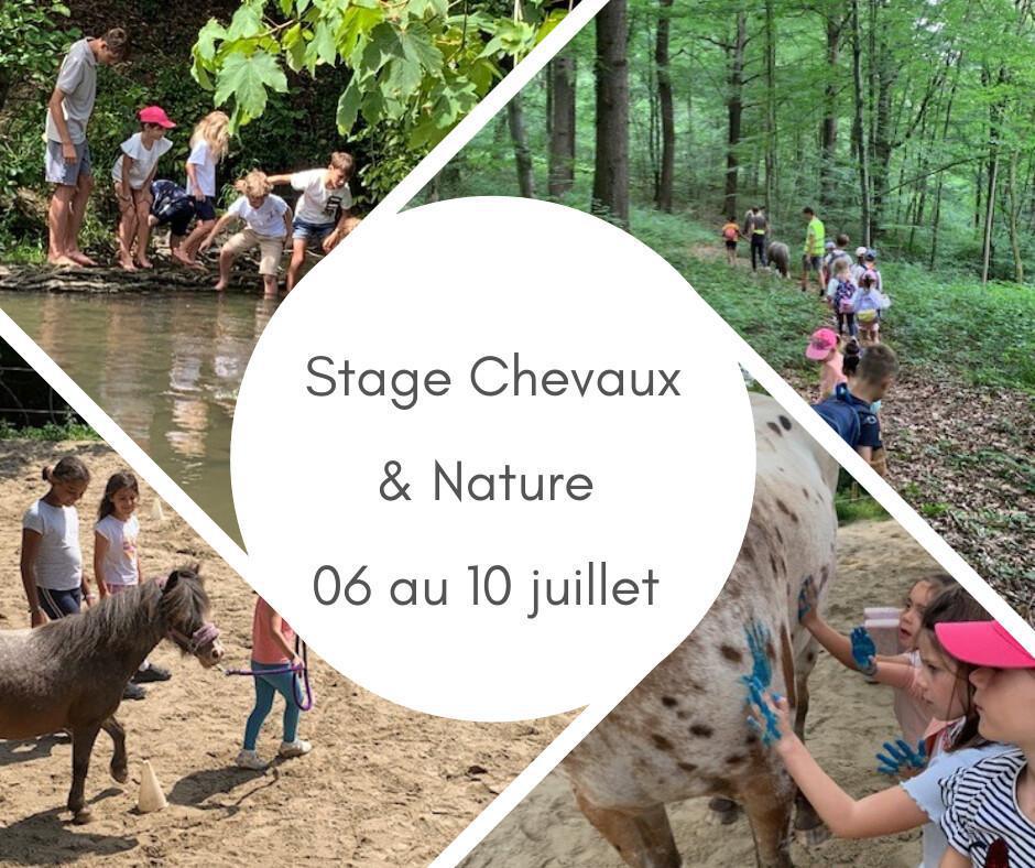 Stage Chevaux & Nature Juillet 