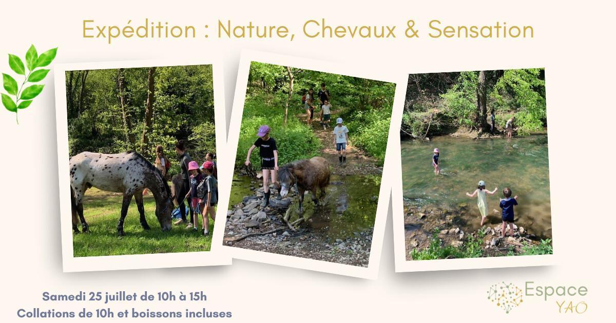 Expédition : Nature, Chevaux & Sensation Expédition : Nature, Chevaux & Sensation