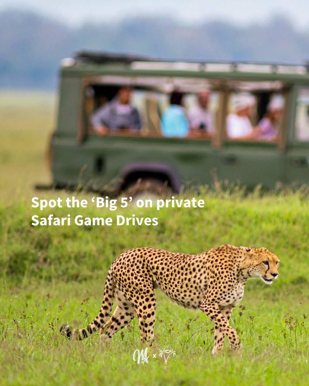 South Africa 2025 - Miles with Morgan South Africa 2025 - Miles with Morgan