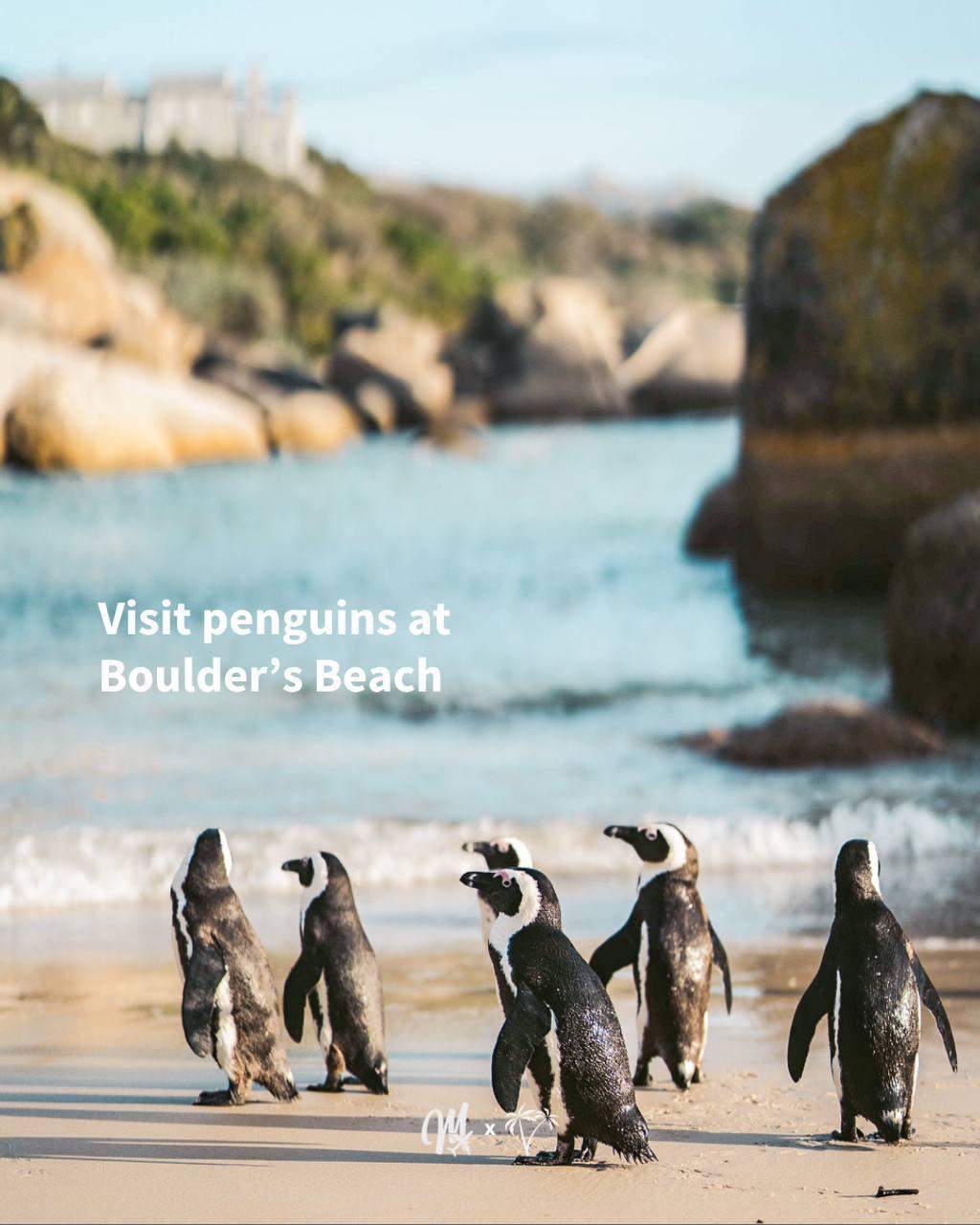 South Africa 2025 - Miles with Morgan South Africa 2025 - Miles with Morgan