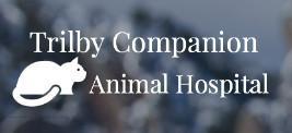 Animal Haven Veterinary Clinic 