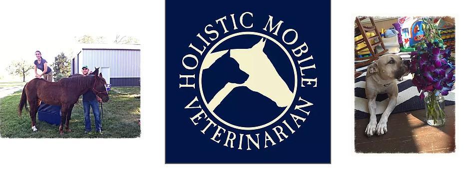 Holistic Mobile Vet