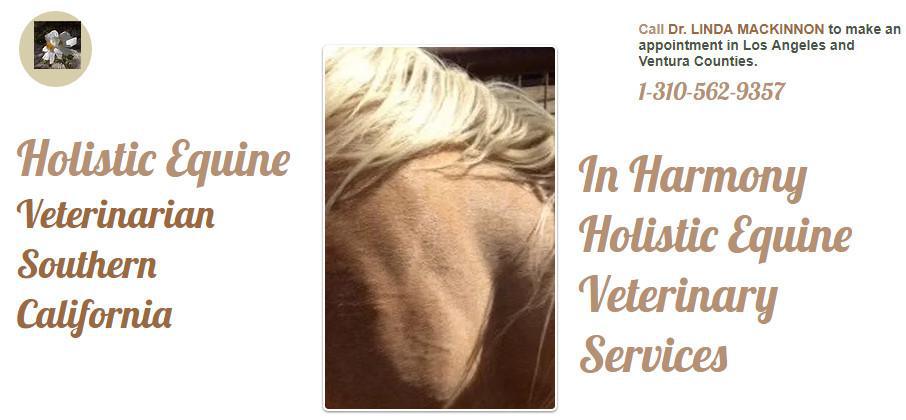 InHarmony Holistic Equine Service