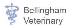 Bellingham Veterinary