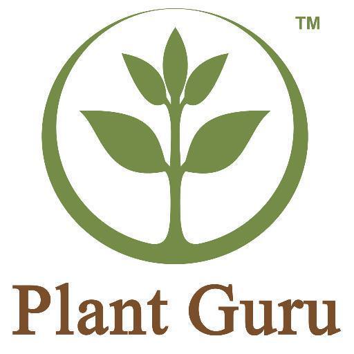Plant Guru - Pure Essential Oils