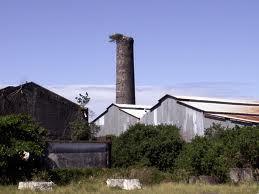 Usine de Sainte Suzanne