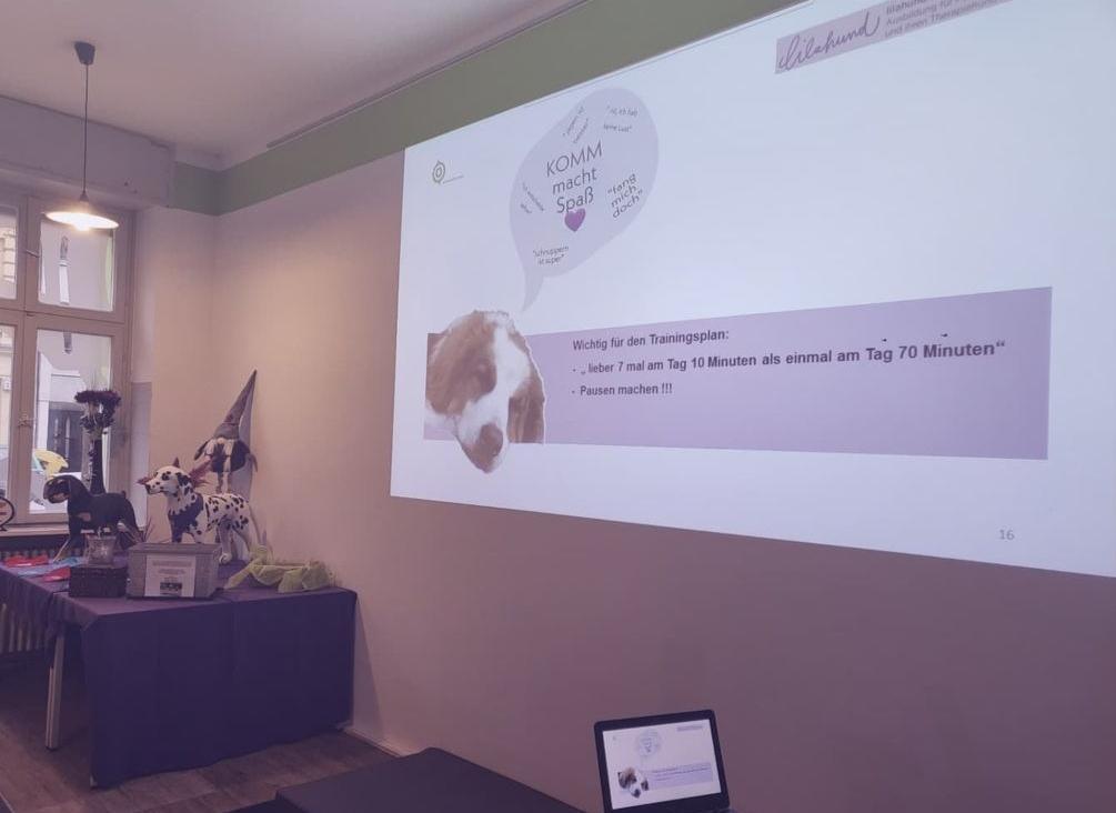 So viele tolle Teams, so viele tolle Hunde So viele tolle Teams, so viele tolle Hunde