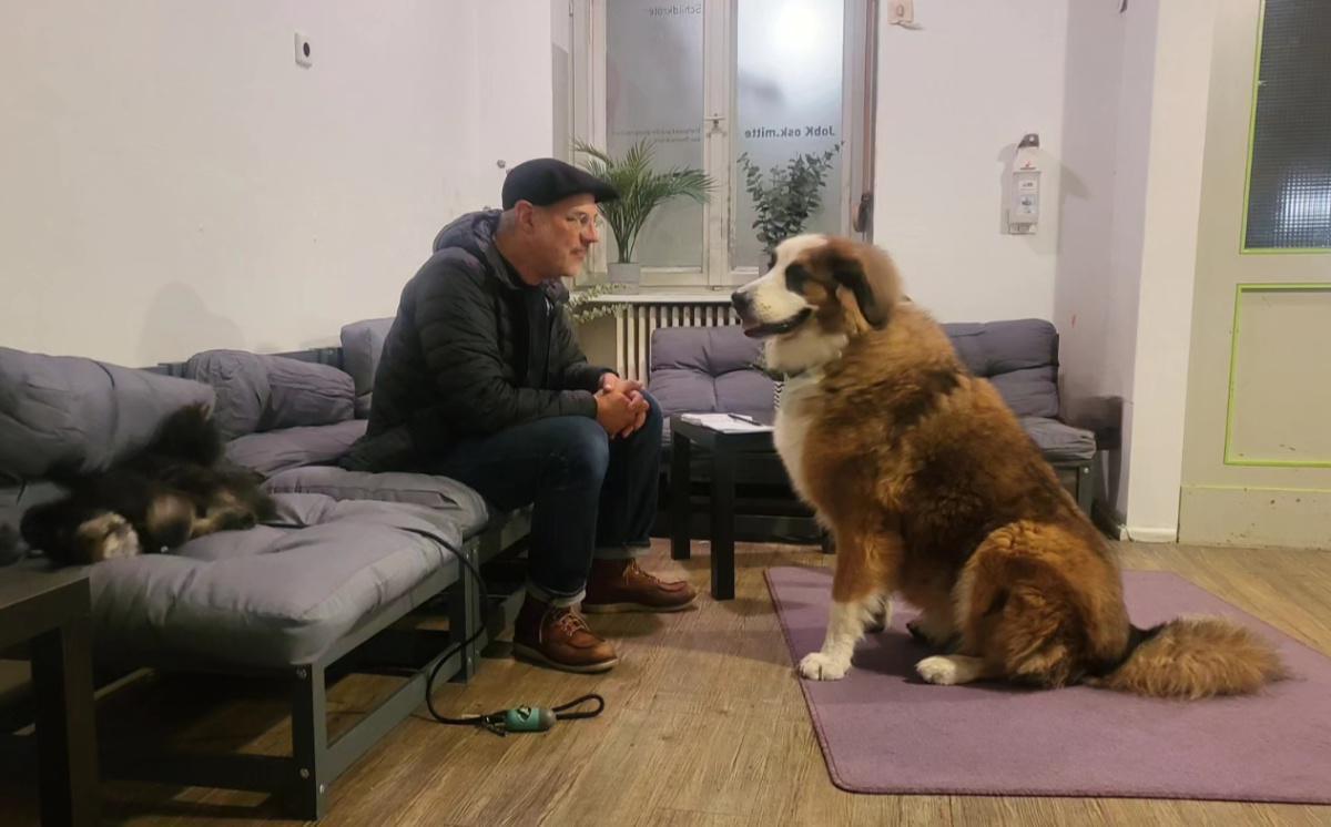 So viele tolle Teams, so viele tolle Hunde So viele tolle Teams, so viele tolle Hunde