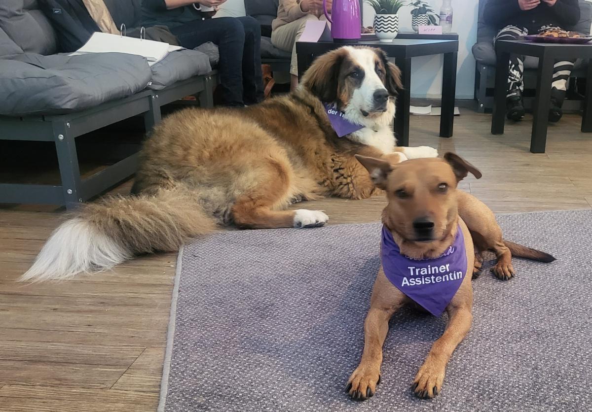 So viele tolle Teams, so viele tolle Hunde So viele tolle Teams, so viele tolle Hunde