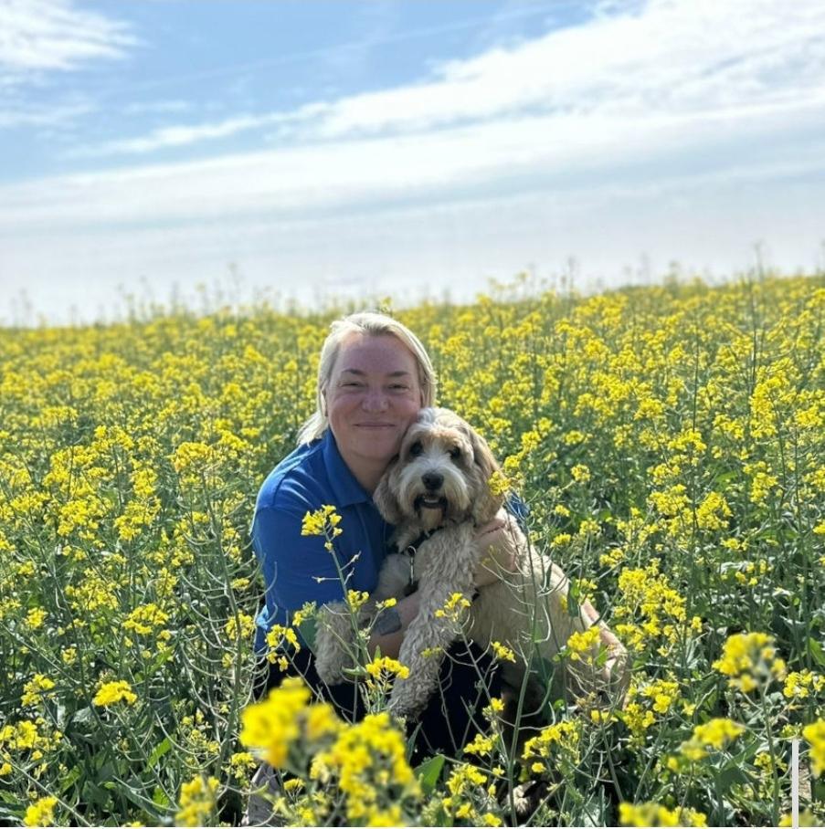 Das Team lilahund Das Team lilahund