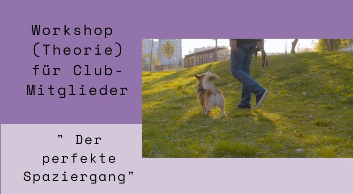 Workshop " Der perfekte Spaziergang" 