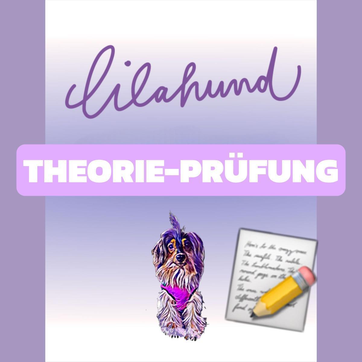 22.11. 2025 Theorieprüfung