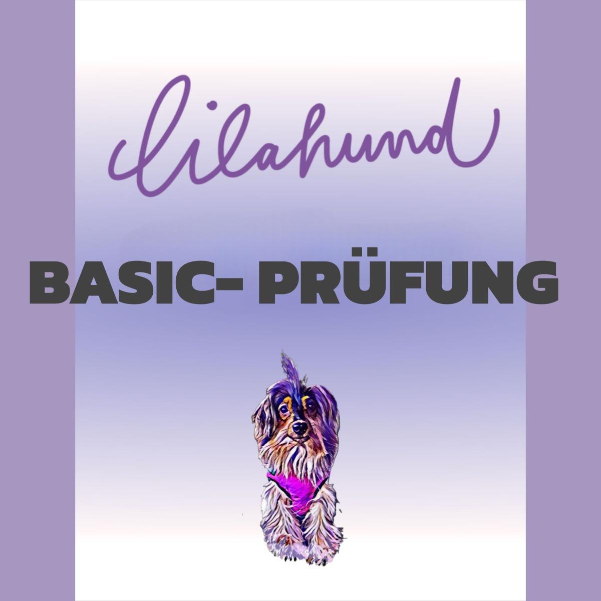 Anmeldung Basic-Prüfung, 23.11., 14.12.