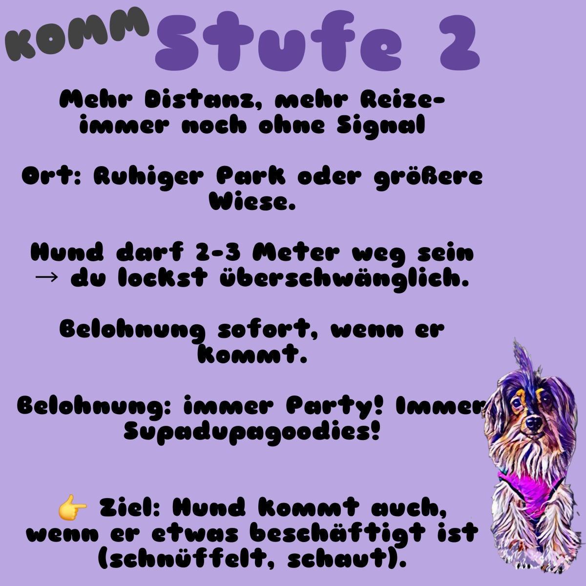 Tag 26