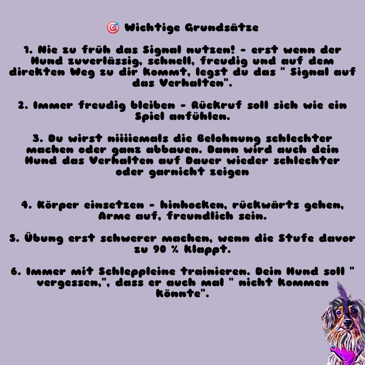 Tag 29