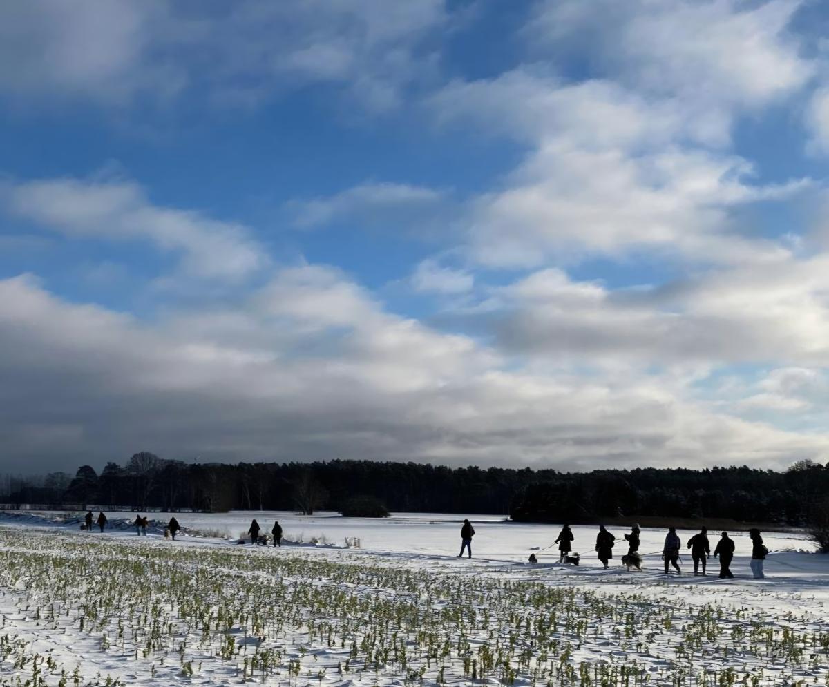 Der "lilahund- Tierschutz- Walk"