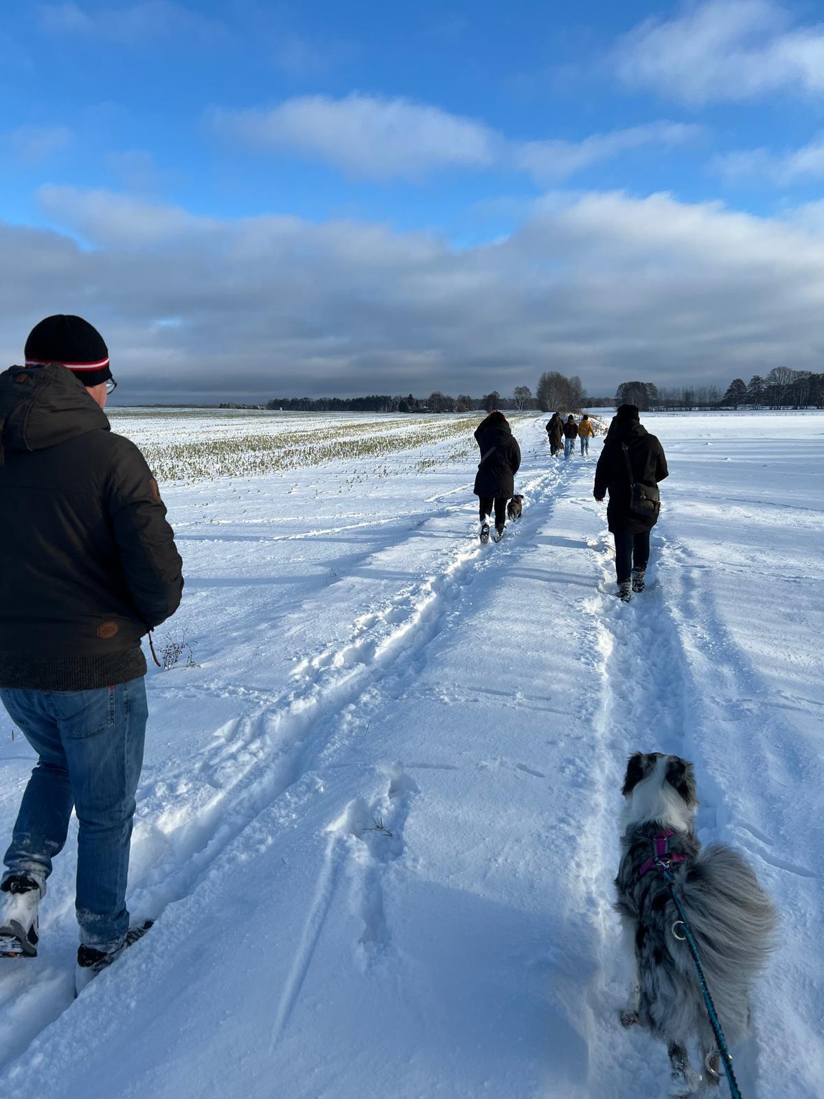 Der "lilahund- Tierschutz- Walk"
