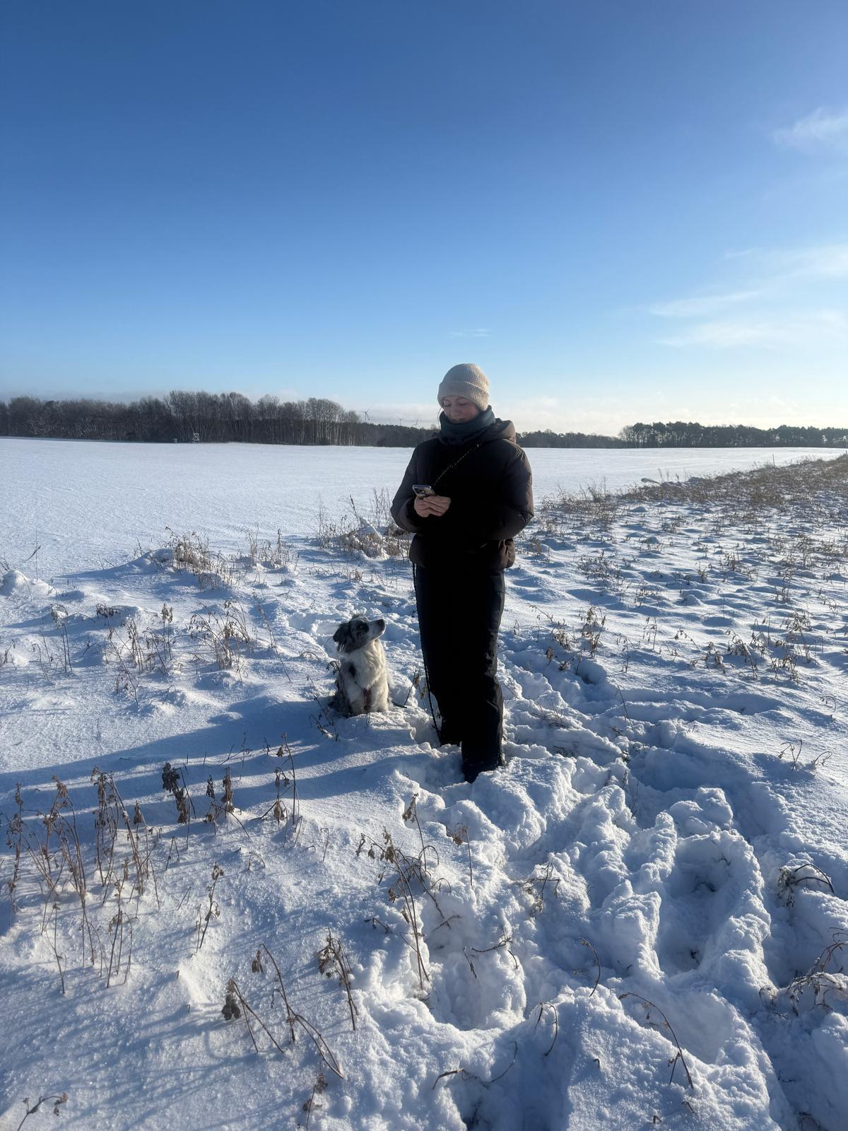 Der "lilahund- Tierschutz- Walk"