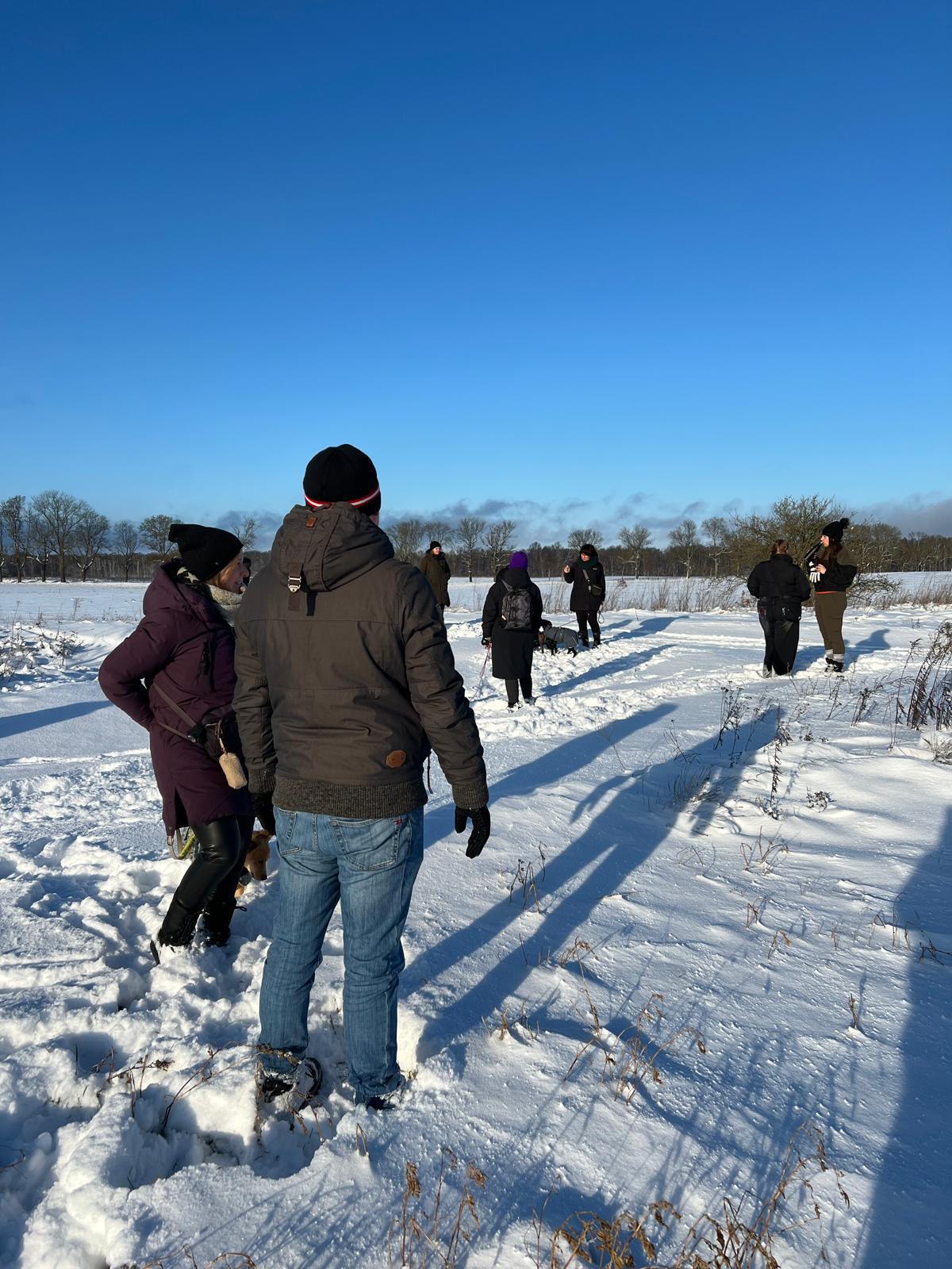 Der "lilahund- Tierschutz- Walk"