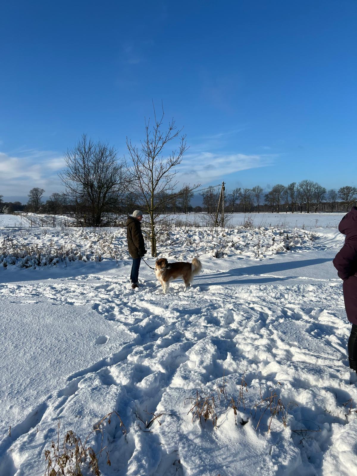 Der "lilahund- Tierschutz- Walk"
