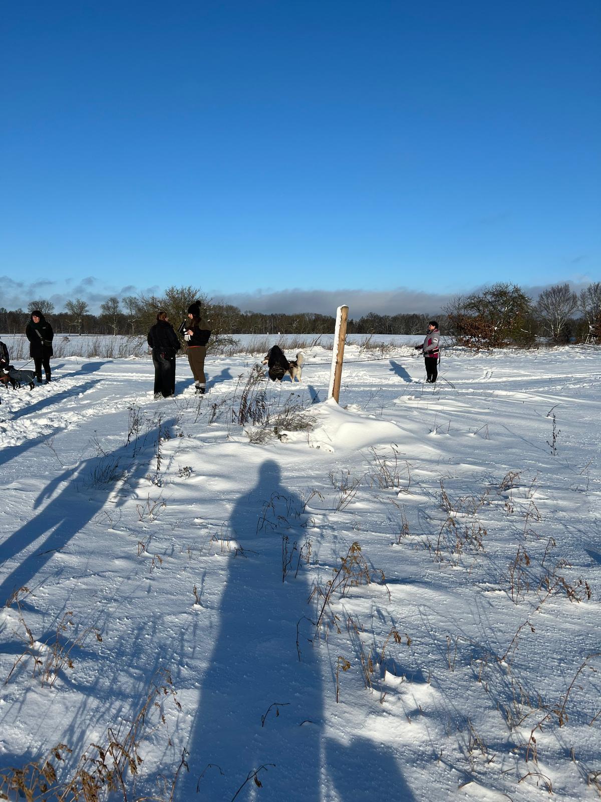 Der "lilahund- Tierschutz- Walk"