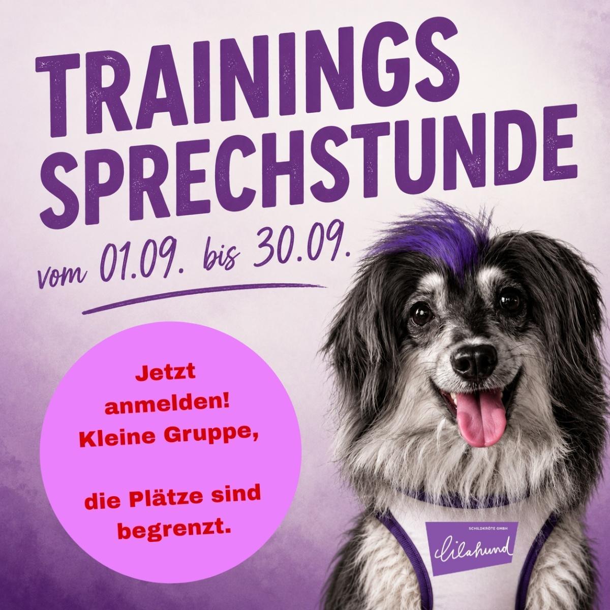 NEU! Trainingssprechstunde NEU