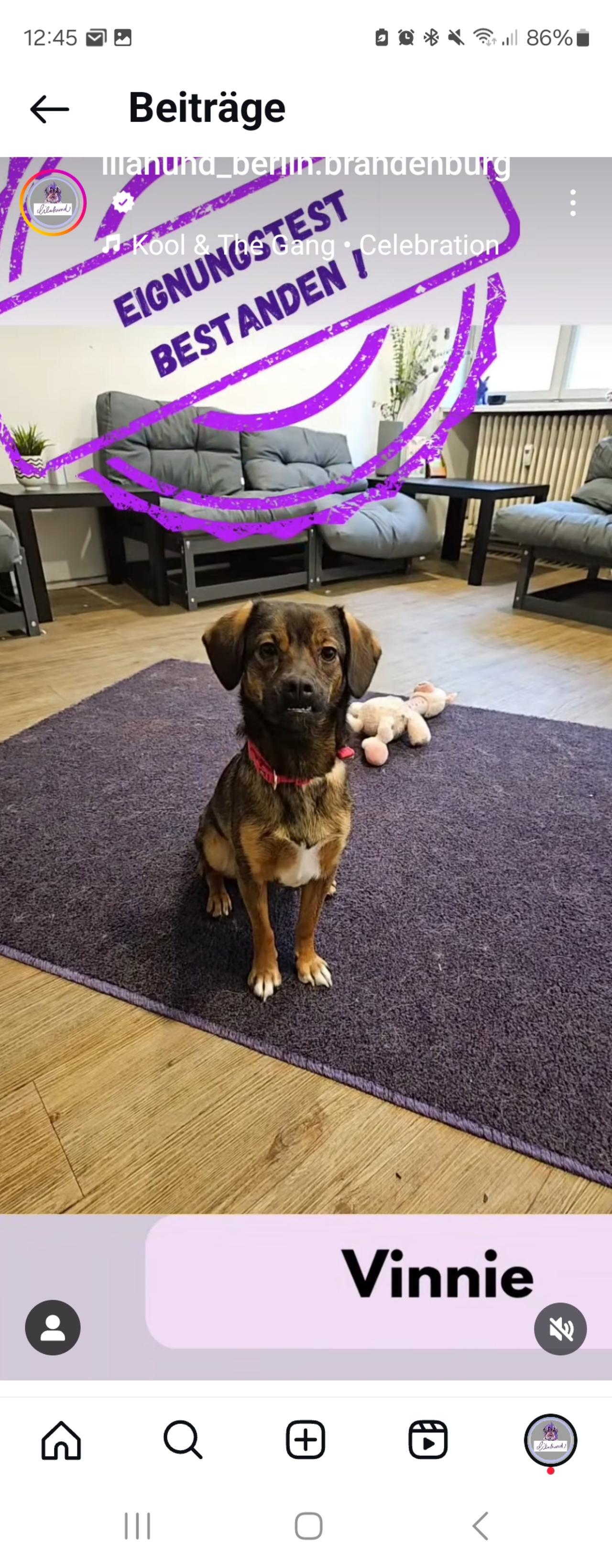 Vinnie
