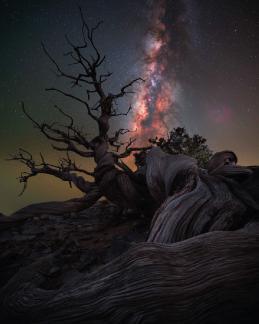 Milky Way Photographer of the Year 2024