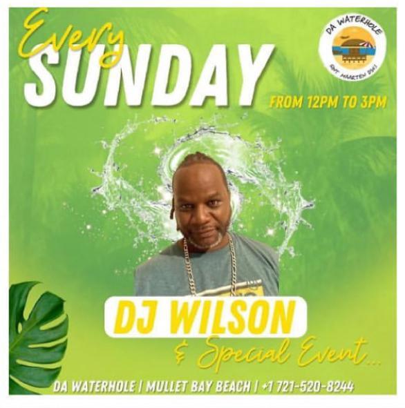 Dj Wilson - Da Waterhole