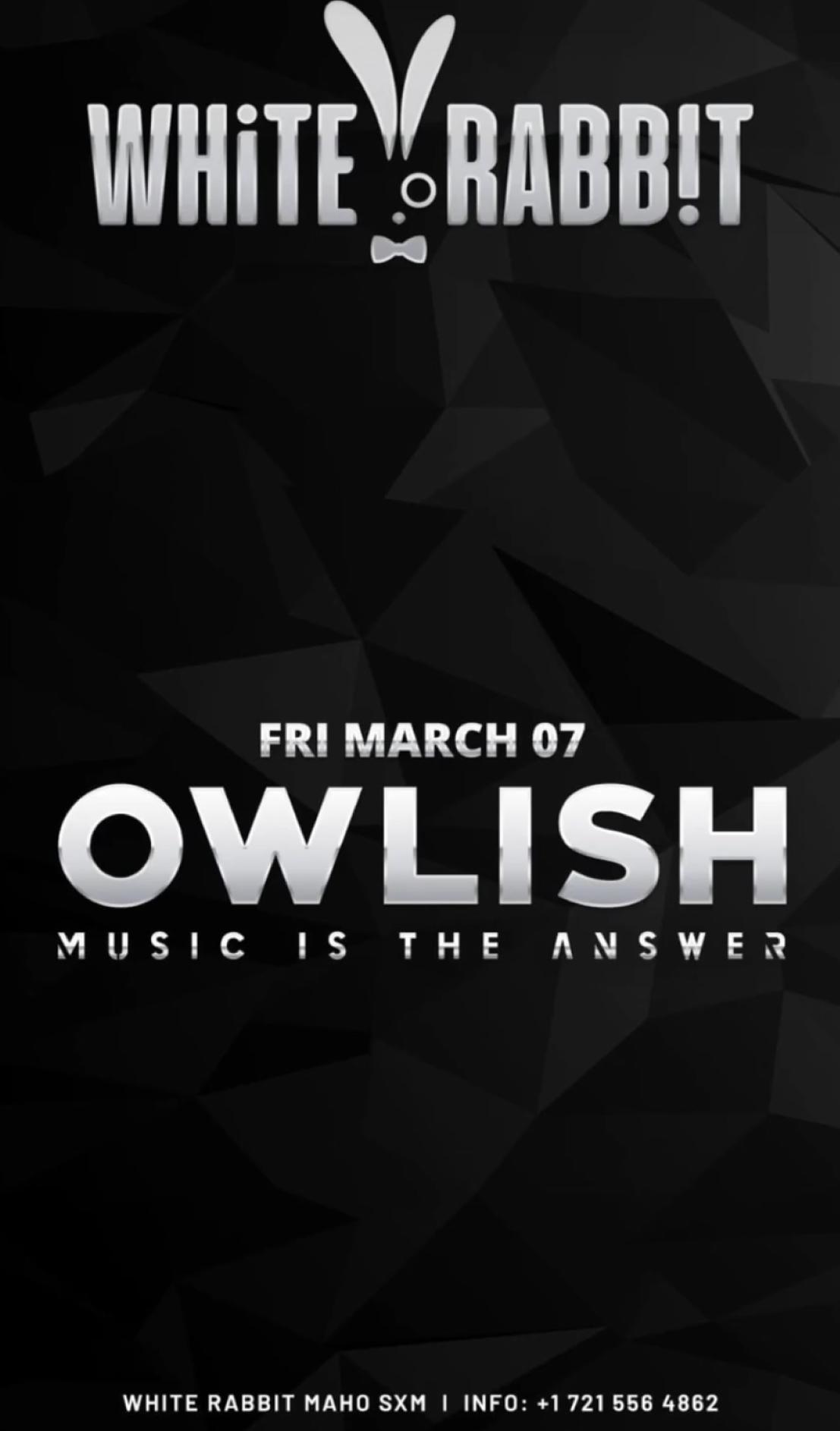 Music is the Answer - The White Rabbit