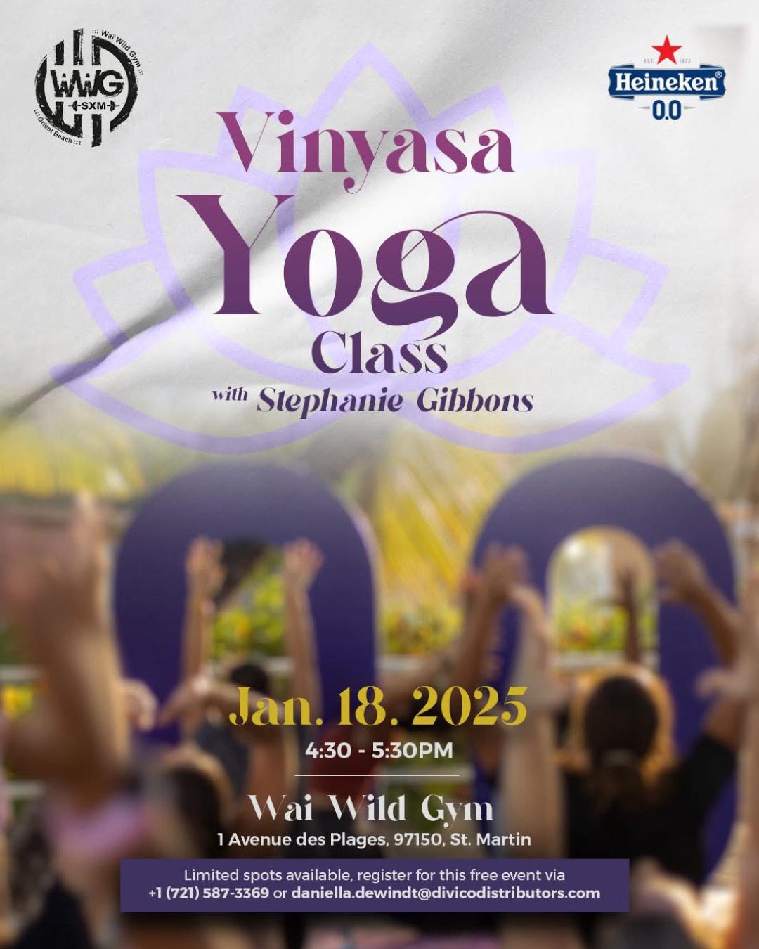 Vinyasa Yoga Clas - Waï Wild Gym