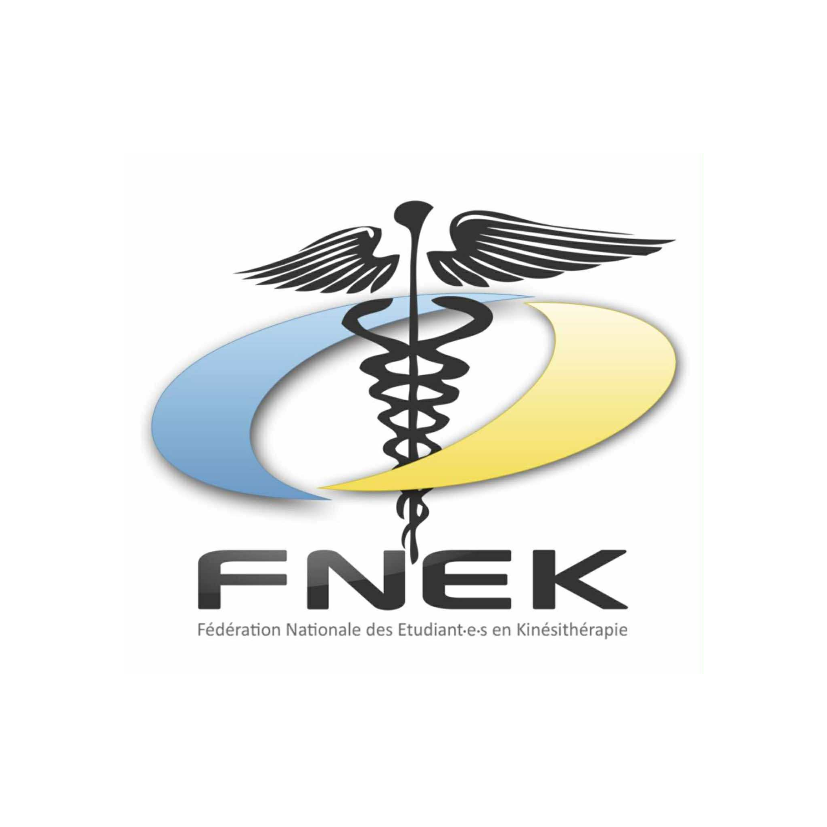 Fédération Nationale des Etudiant·e·s en Kinésithérapie